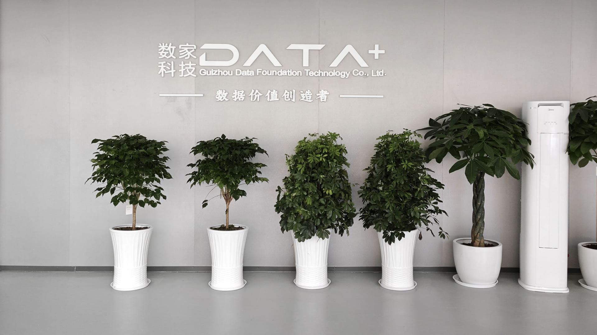 贵州数家科技有限公司简介